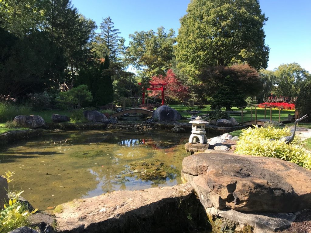 Schedel Arboretum & Gardens Japanese Garden
