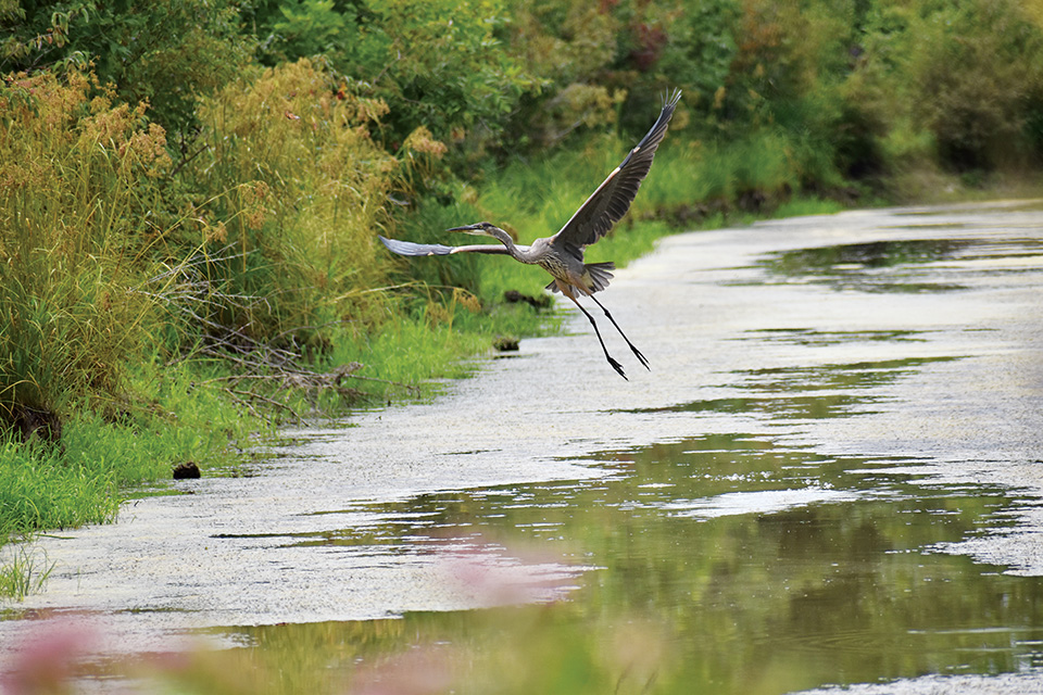 Parks & Nature in Ottawa County Ottawa County Business Advisory Council